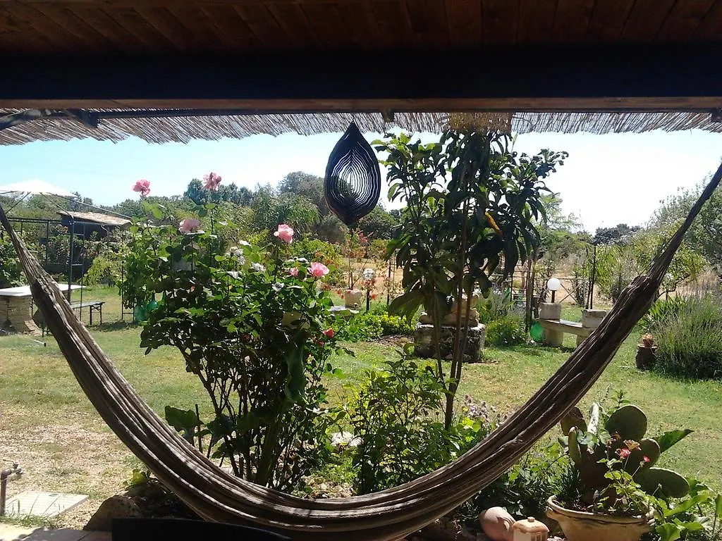Agrib&B Lemontree Garde'N Syracuse Bed & Breakfast